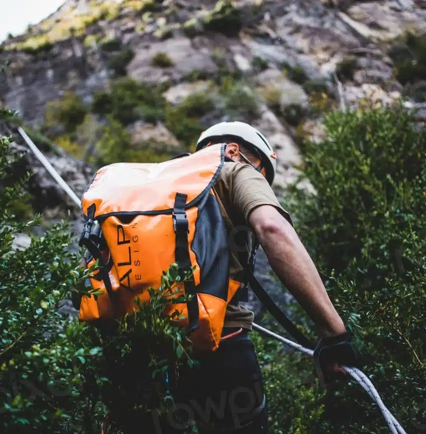 Survival category banner