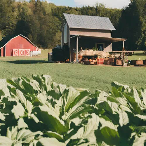 Homesteading category logo